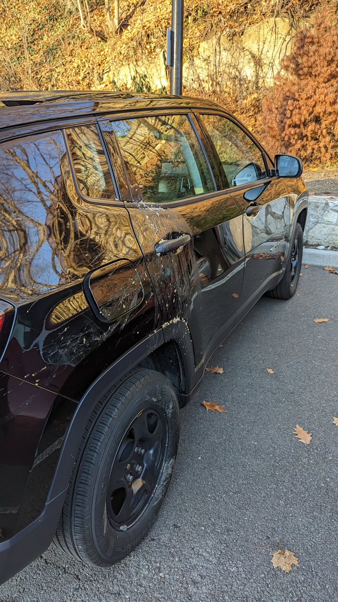 JohnPaulFAL's tweet photo. On this week's Post Game Party, @Babchik said he no longer throws up the night of drinking. The passenger side of my car would disagree! #FALMAS
@DamonAmendo @Bsmitty_ @DeeboF22 @EyeDocFal https://t.co/kzCW4EWkec