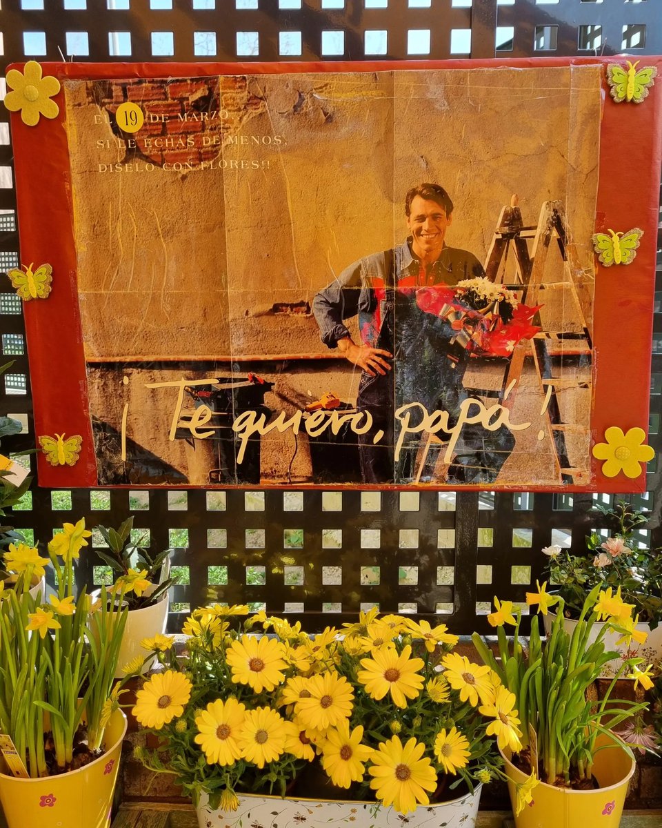 FLORIDEAFLORIST's tweet photo. #FelizDíadelPadre. Felicidades Pepe,  Pepita,  José, Josefa... con flores y plantas. https://t.co/15pv3C0DzO