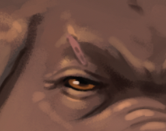 Calvet Arts tweet media