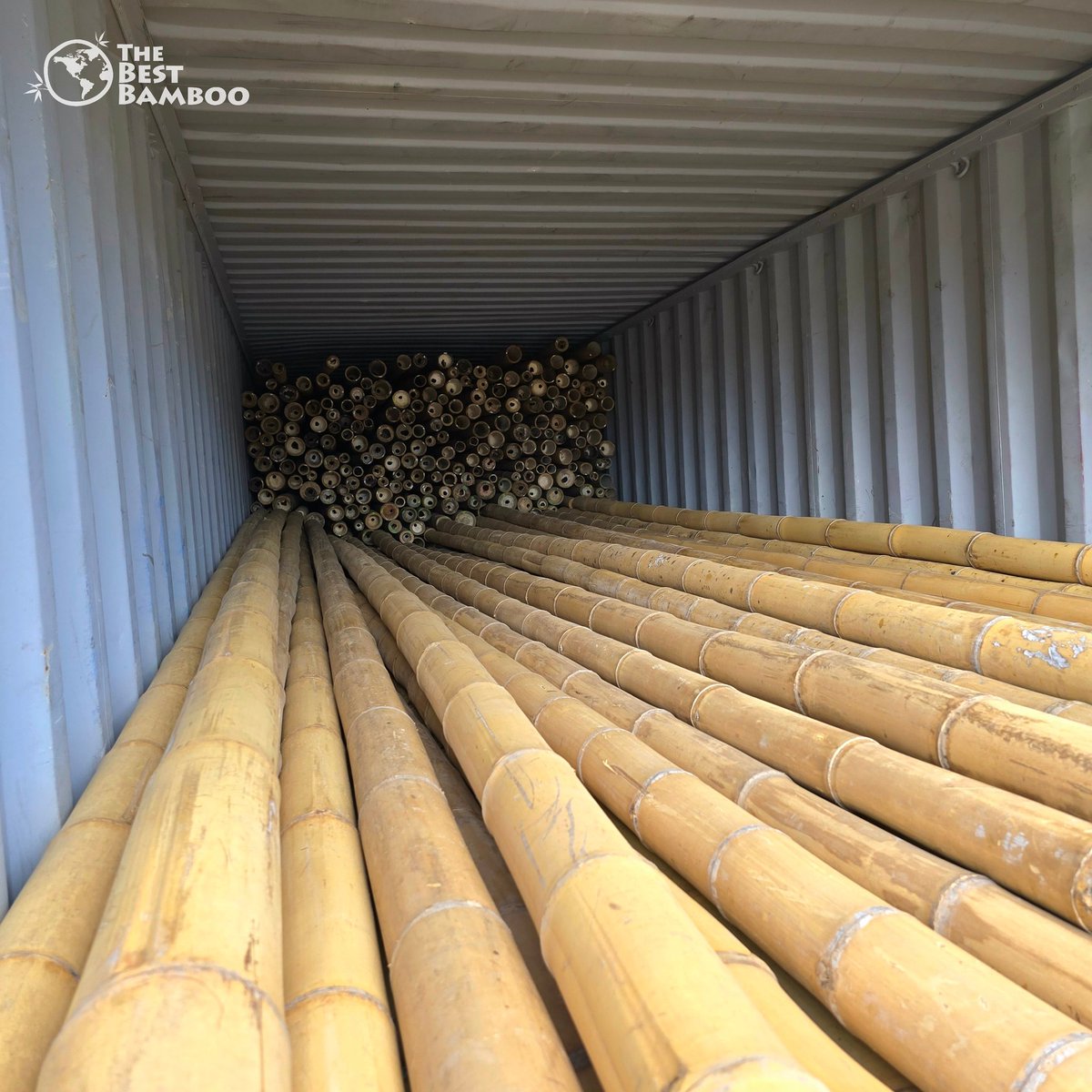 thebestbamboo's tweet photo. πΏ A good day at the office! π
β¨ Beautiful welcome to start the day
π Guadua for fibers loaded on time
π A stunning sunset to wrap it up
Grateful for smooth operations and natureβs beauty! π #Guadua #BambooLife #SustainableFibers https://t.co/gZxvkDwBUr