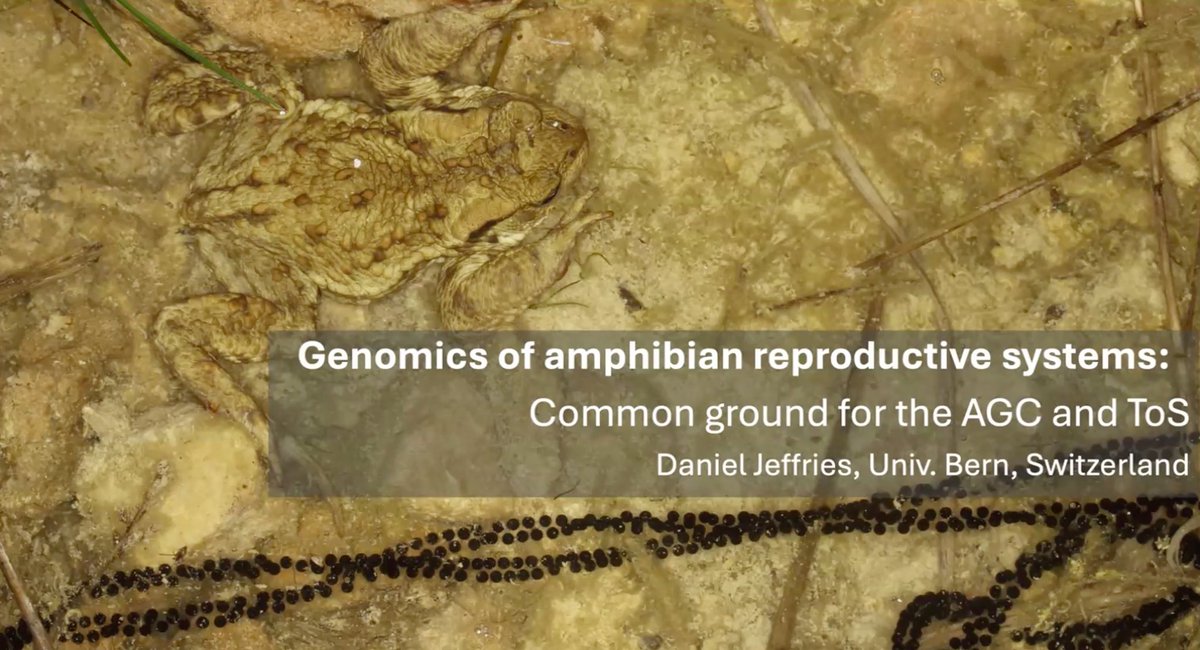 TAKosch's tweet image. This week the AGC hosted an excellent seminar by Daniel Jeffries @Dan_Jeffries from the University of Bern.
📽️You can watch Dan's talk and the many others we have lined up for the year by joining the AGC at go.unimelb.edu.au/k2ss