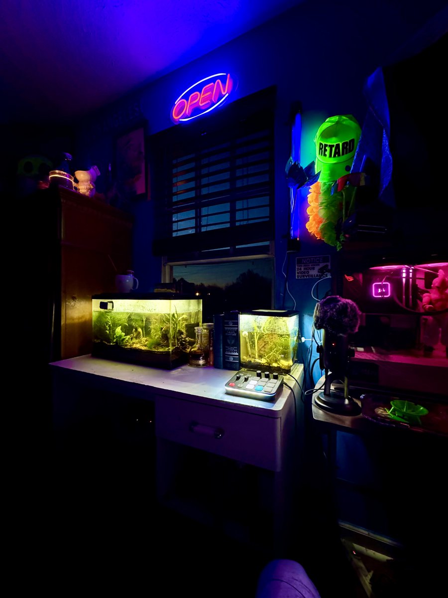 🔅🔆🔅 ✱ tweet media