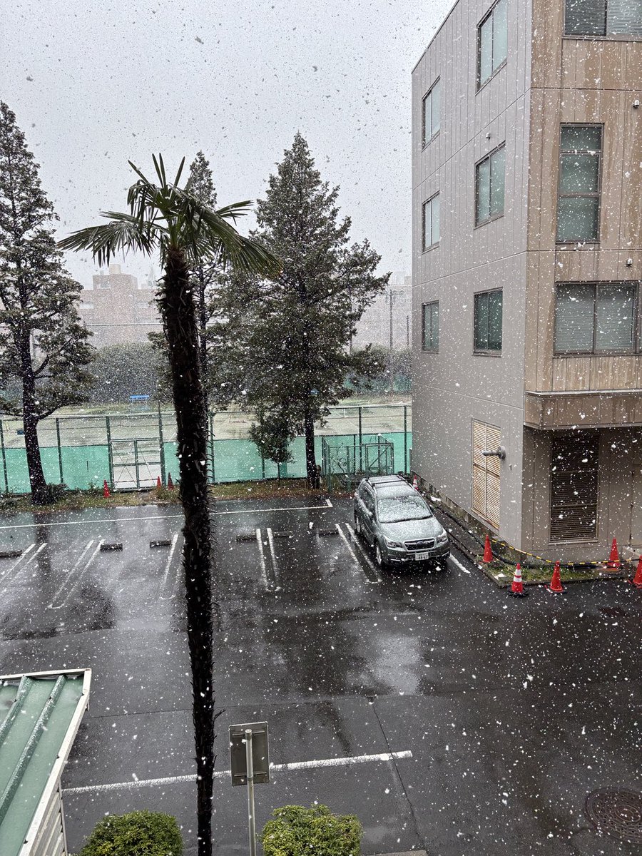 Snow in mid March!