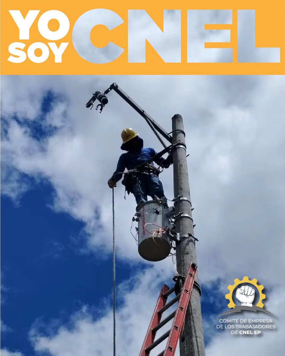 Comité CNEL EP tweet media