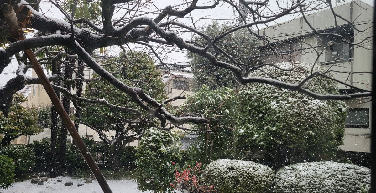 今日の雪はめっちゃジメジメしたボタ雪で一番タチ悪い奴だ
さっさと雨になって溶けてくれんかな