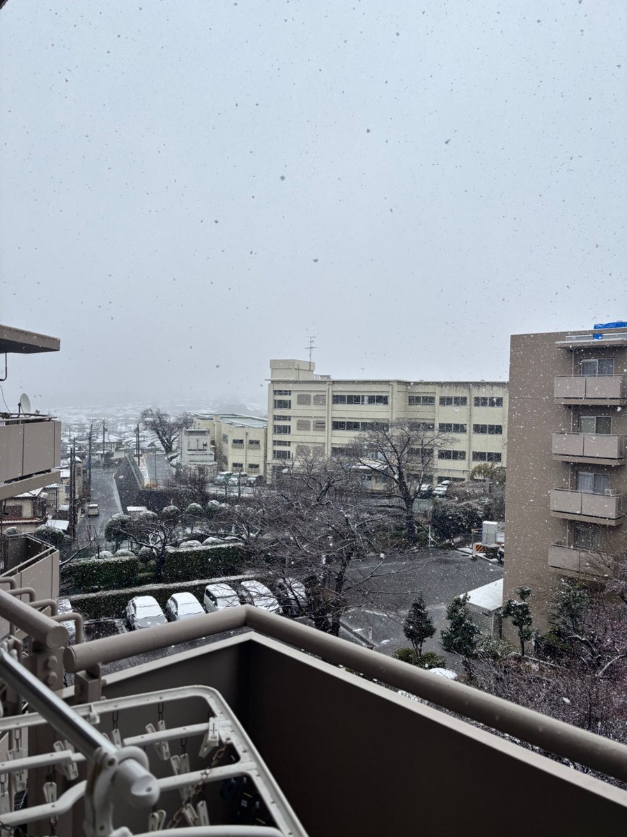Snow in Tokyo