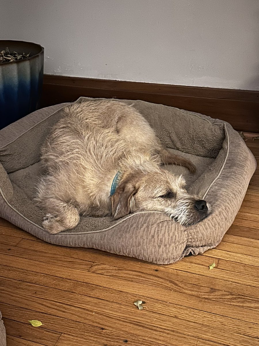 Dottie Gallagher tweet media