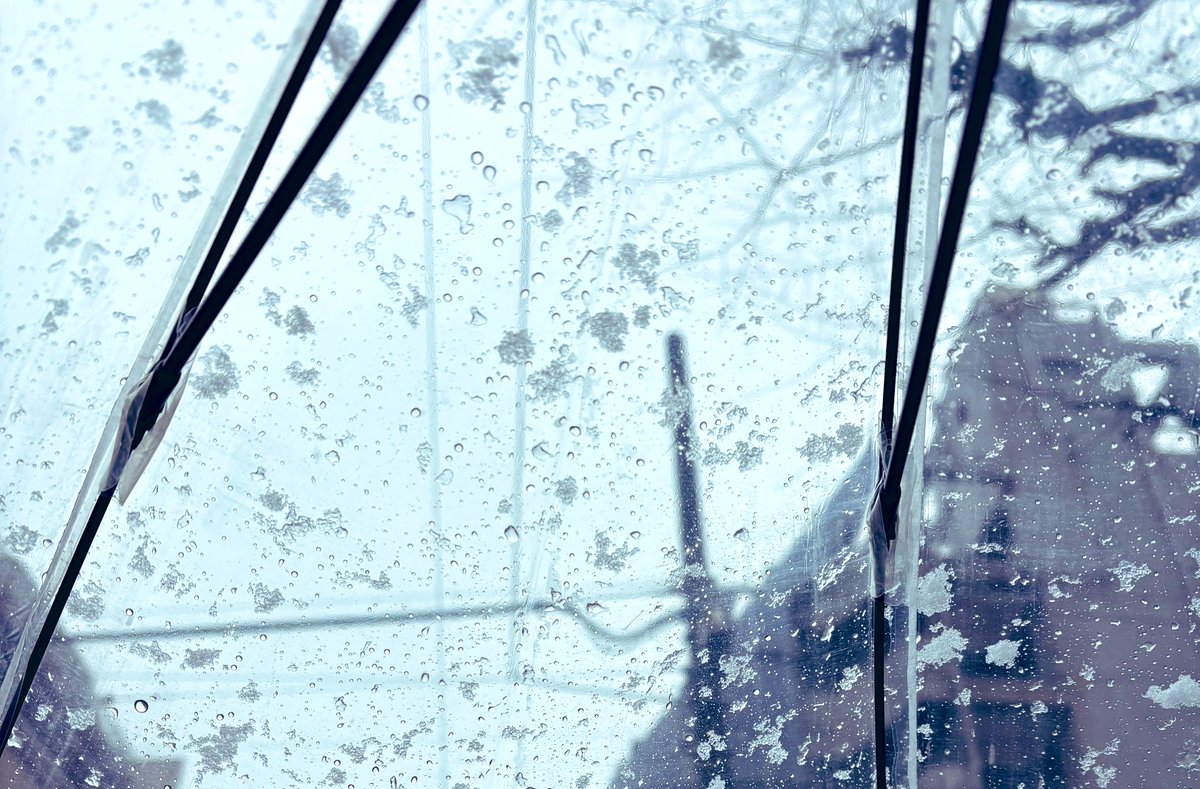 deseo_kun's tweet photo. おはようございます！
都内近郊では降雪です❄️暖かくなったり寒くなったり…体調が変になりがちな時なので、体調管理をしていきましょう✨
#雪 #就活応援 #新卒採用 https://t.co/vl5aTdgRCO