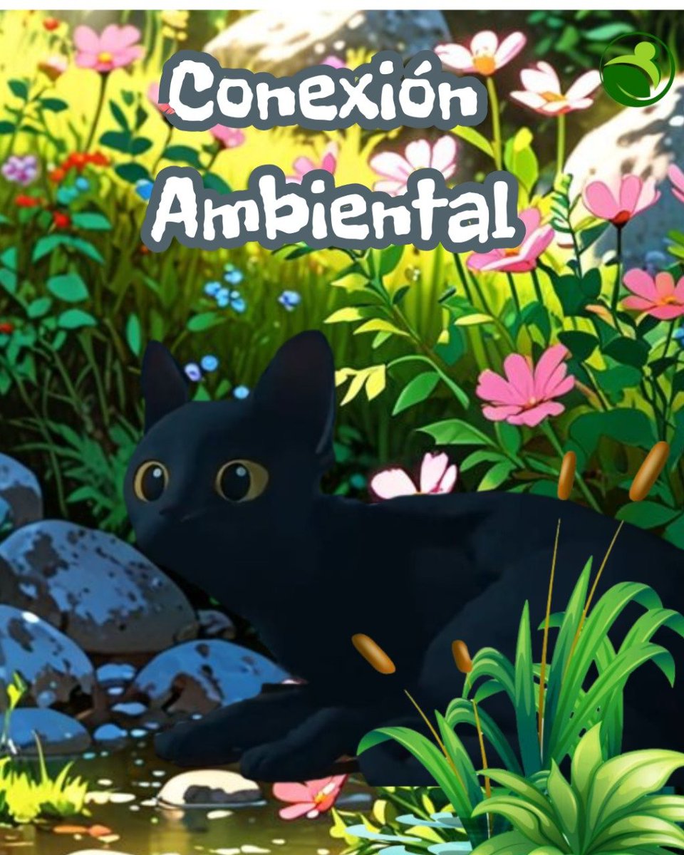 Edera_Pucp's tweet photo. ¡Conoce el área de Conexión Ambiental! 🌍📋

¿Te apasiona la investigación y tienes un enfoque crítico sobre los temas ambientales desde una perspectiva jurídico-interdisciplinaria? ¡Entonces Conexión Ambiental es el lugar perfecto para ti! https://t.co/Wahy97XHB9