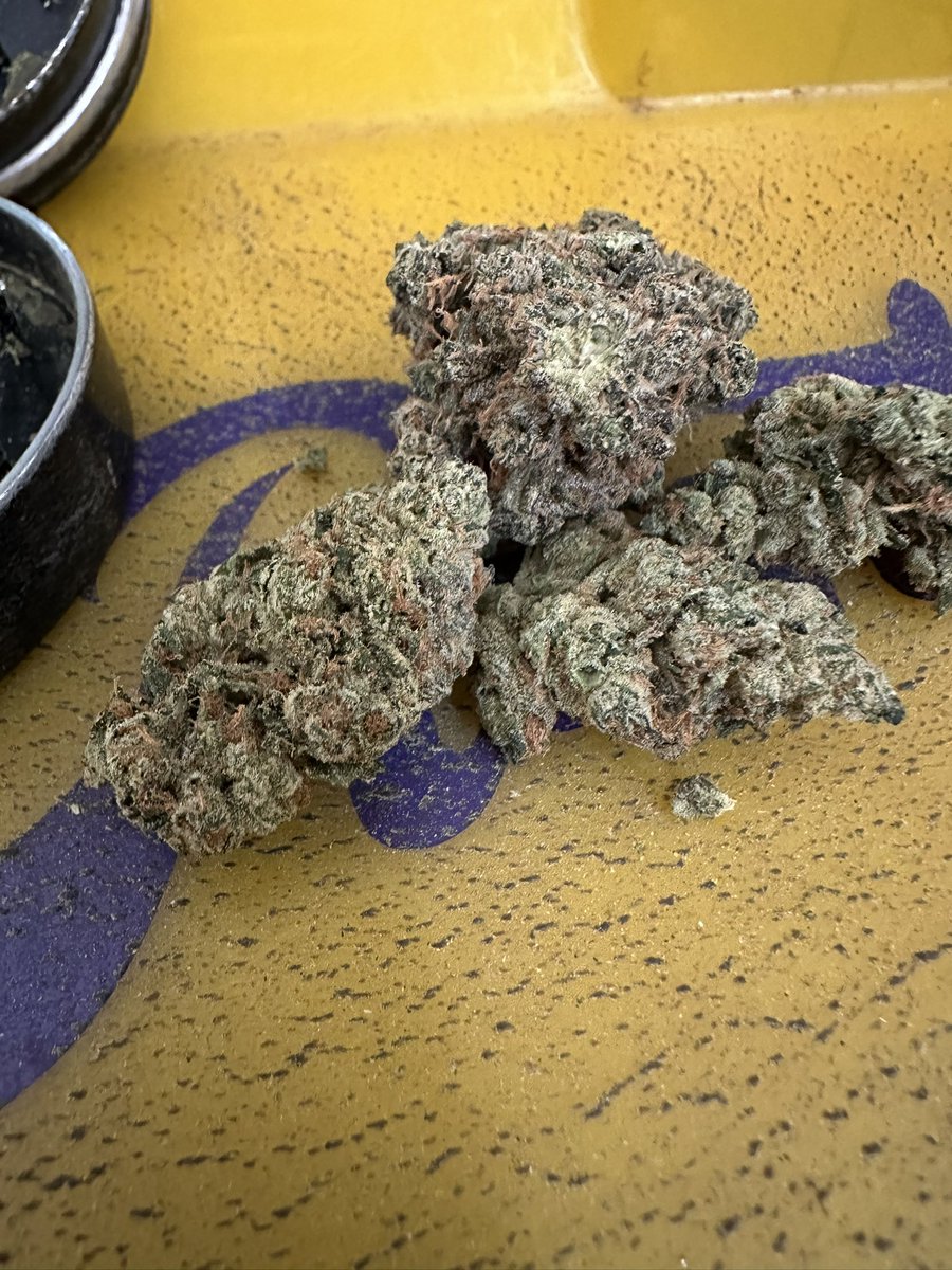 YFG_Chris's tweet photo. @upthehillCA ⛽️⛽️⛽️🤯 #WDSM
Smell and taste on this one is crazy.. especially when you bust open a nug 🚀🛸 https://t.co/UVKZk0Jdf0