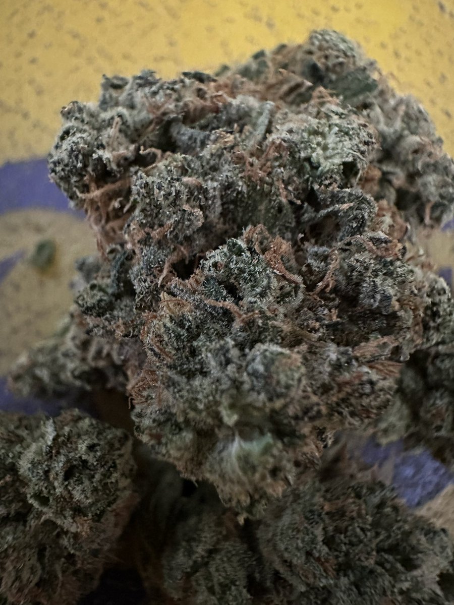 YFG_Chris's tweet photo. @upthehillCA ⛽️⛽️⛽️🤯 #WDSM
Smell and taste on this one is crazy.. especially when you bust open a nug 🚀🛸 https://t.co/UVKZk0Jdf0