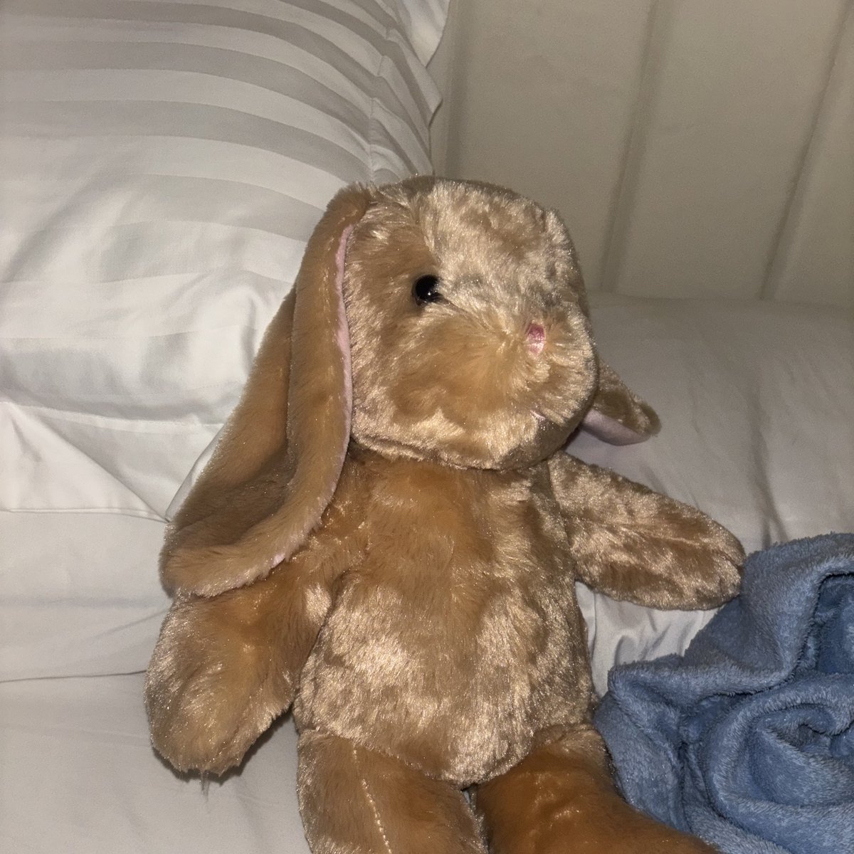 lilbunthings's tweet photo. My baba and I went to build a bear. He recorded a message for me too #ageretwt https://t.co/wbxpLFgElB