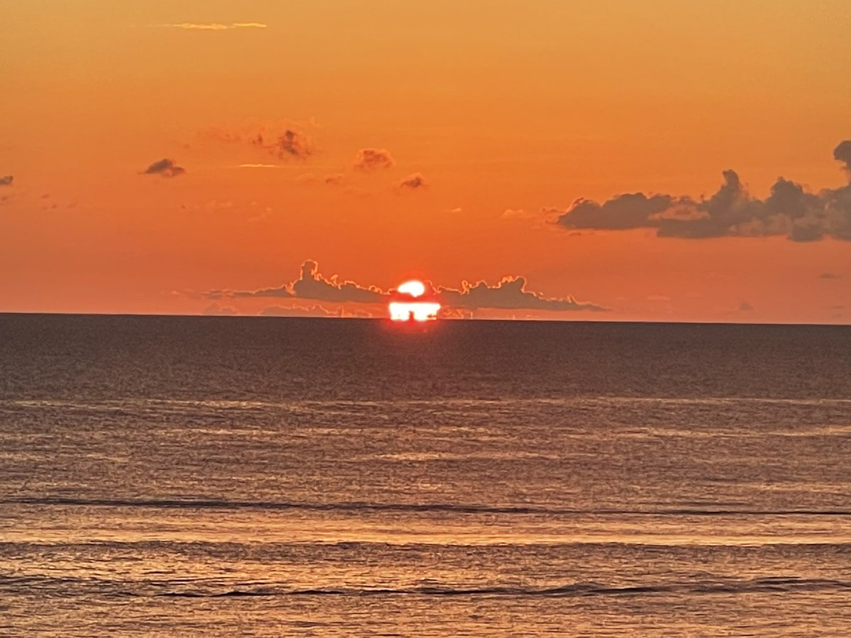 Rosetta ♟ tweet media