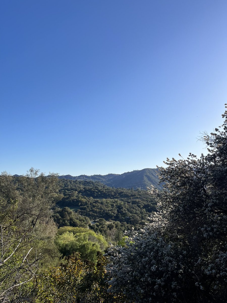 isabellle's tweet photo. we are unbelievably lucky to exist amongst so many beautiful trees 🌳 https://t.co/f9kb7R43XW