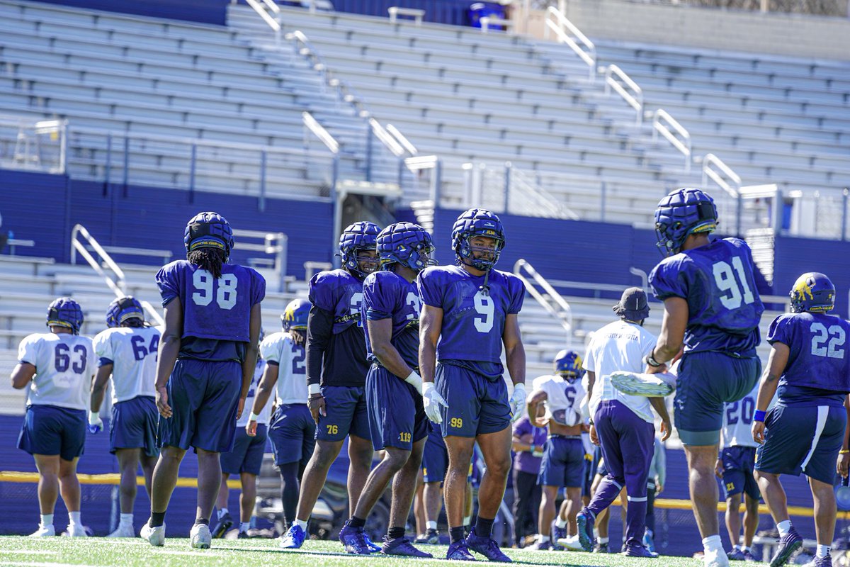 DAY 3️⃣

#Goldenbullspride | #EVERYTH1NGEVERYDAY