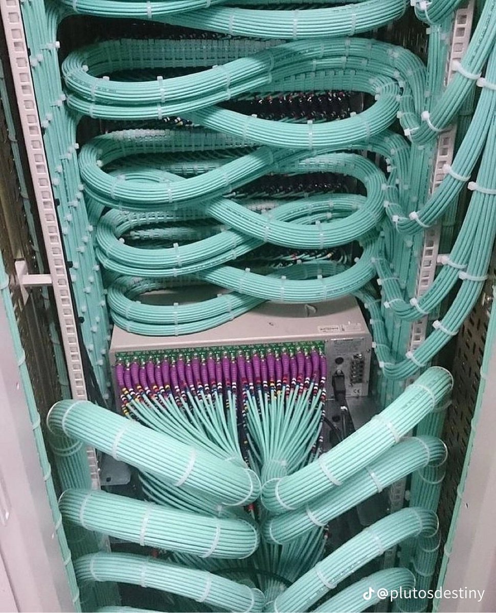 SharKai™ tweet media