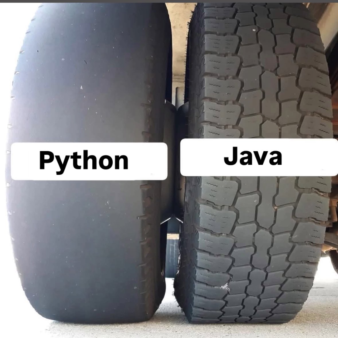 Python Coding tweet media