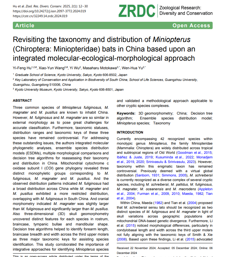 ZR_ZRDC's tweet photo. #ZRDC new paper out:
Revisiting the #taxonomy and distribution of Miniopterus (Chiroptera: #Miniopteridae) #bats in China based upon an integrated #molecular-ecological-#morphological approach
DOI: 10.24272/j.issn.2097-3772.2024.019 https://t.co/U0fAmXJbUu