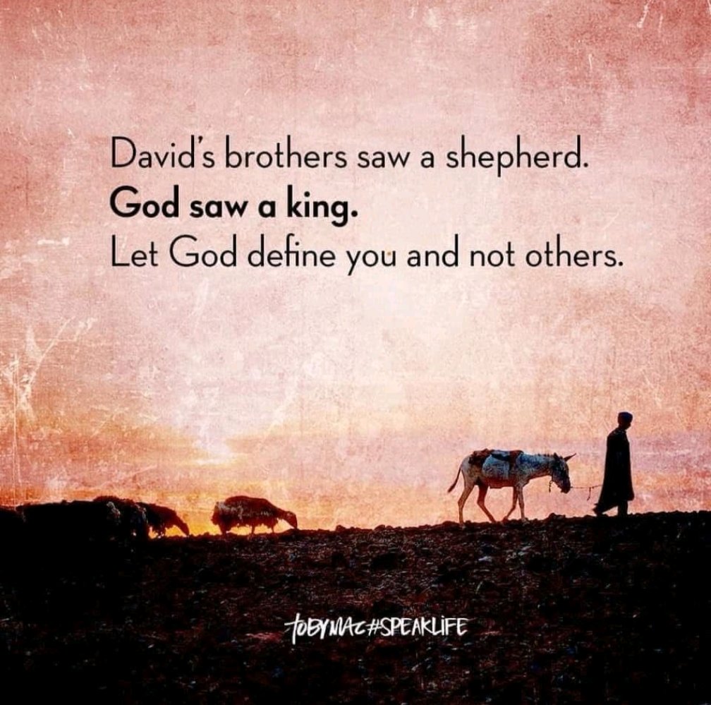 Fernando De Velasco tweet media