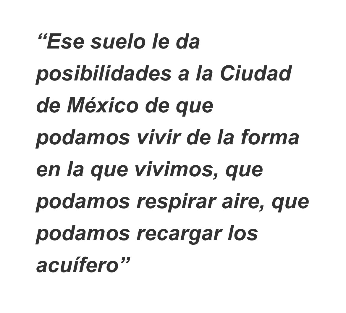 carina_arvizu's tweet image. En esta entrevista con @elsolde_mexico mexico habló sobre la importancia de la gobernanza metropolitana, las alianzas que deberá formar el #IPDP, y sobre el equilibrio delicado entre lo ambiental y lo urbano, siempre trabajando de la mano de comunidades y personas guardianas de