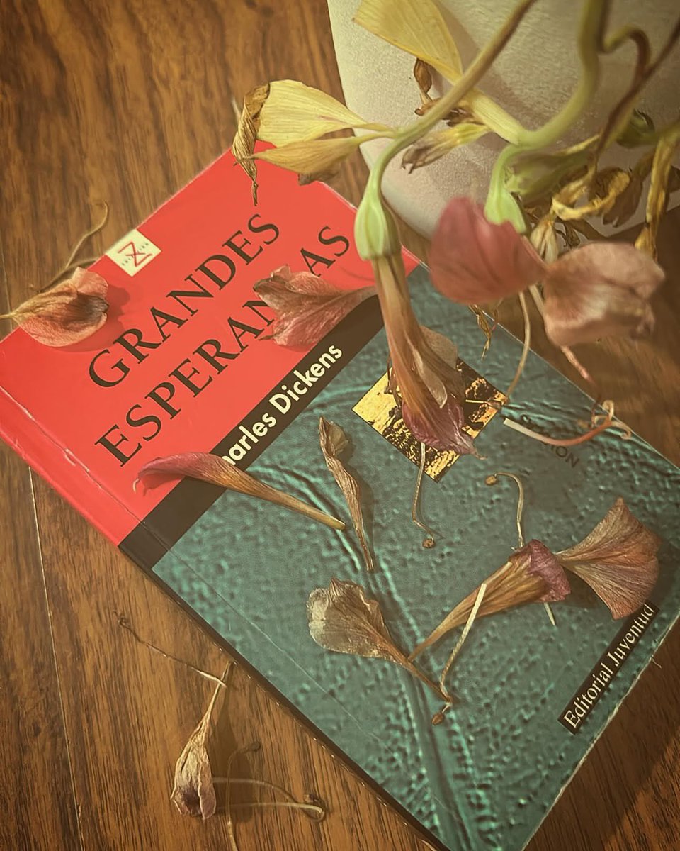 HotLectora's tweet image. “Y todas las demás cosas que había alrededor, parecía como si debieran desplomarse al sufrir el más pequeño contacto.”

“Grandes esperanzas”
De
Charles Dickens