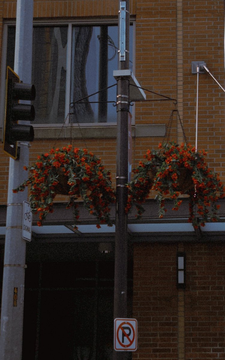 melikegunaydin tweet media