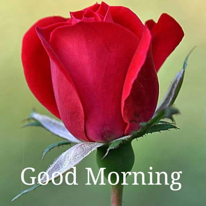 Saleem89205342's tweet photo. @Hot_Chat_ Good morning https://t.co/BG2Gxtarkv