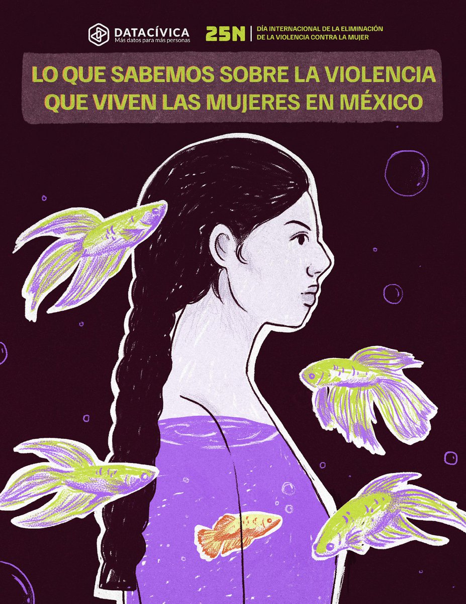 A partir de fuentes de datos públicos👩🏽‍💻, <a href="/datacivica/">Data Cívica</a> realizó un documento para entender las violencias letales y no letales que viven las mujeres en México. Consúltalo en👉🏽: tinyurl.com/bdzausuw.