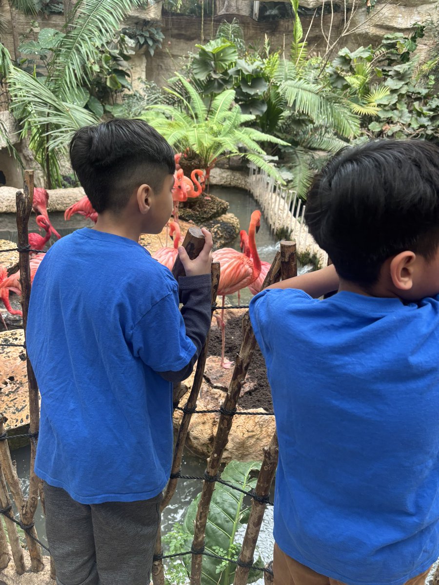 Michelle Grady tweet media