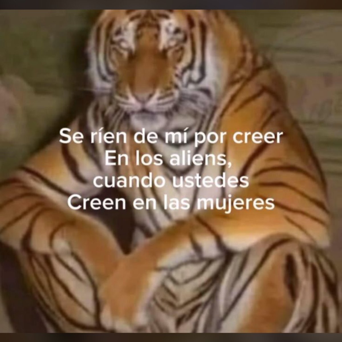 pichulas_frases's tweet photo. https://t.co/ADhaKh9oxn