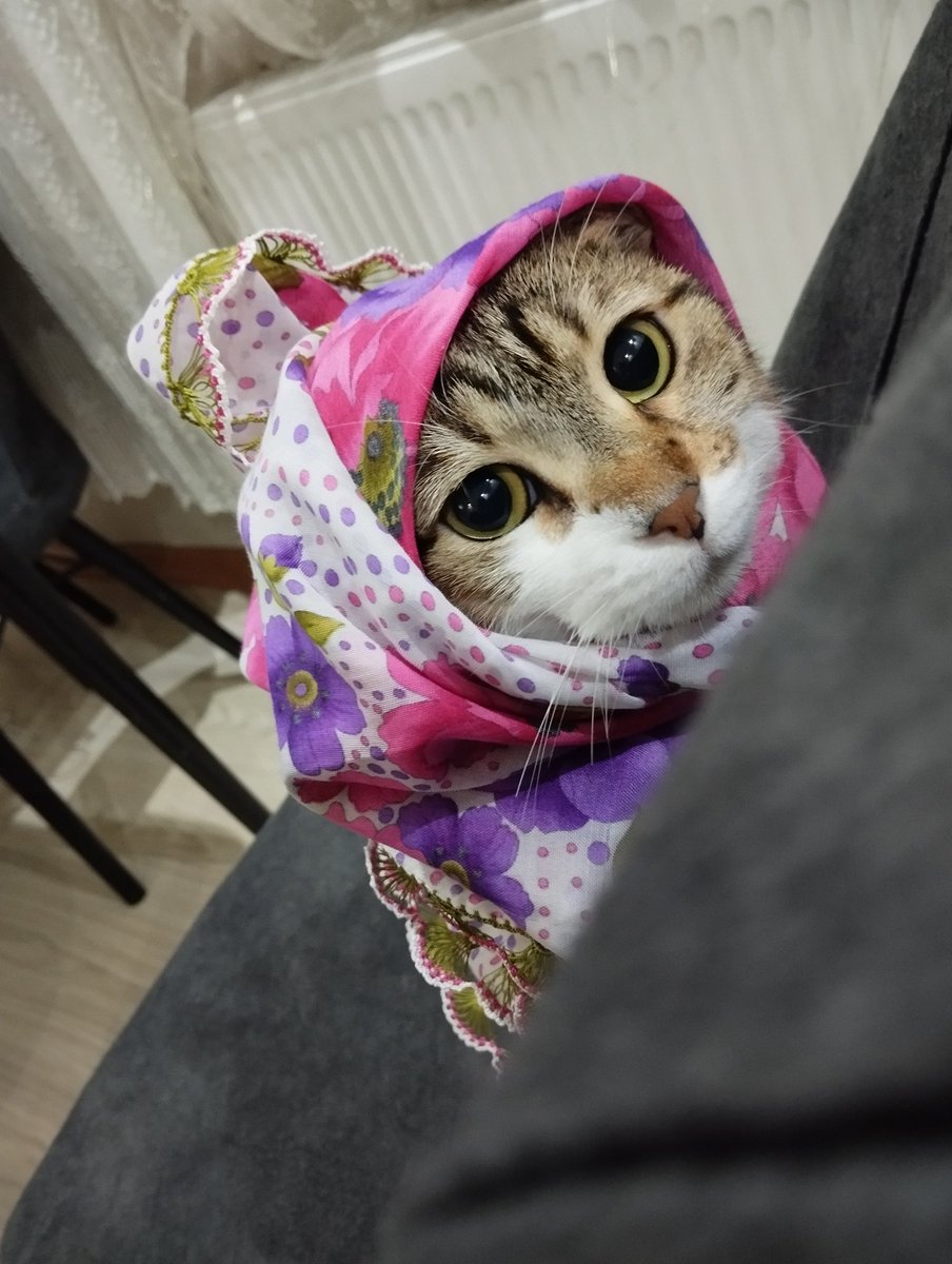 OhaKevser's tweet photo. ramazan dolayısıyla kapalıyız https://t.co/TmfNc8S2mh