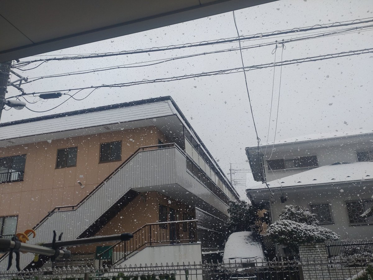 おはよう☀︎
雪だね〜！降ったね〜！今、仕事帰りだけど帰れるかな？😅
今日も一日頑張りましょう🔥🔥
