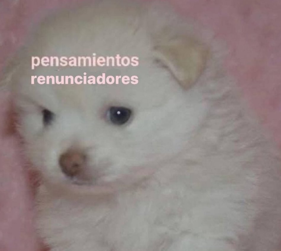 _onerolita's tweet image. yo todos los días