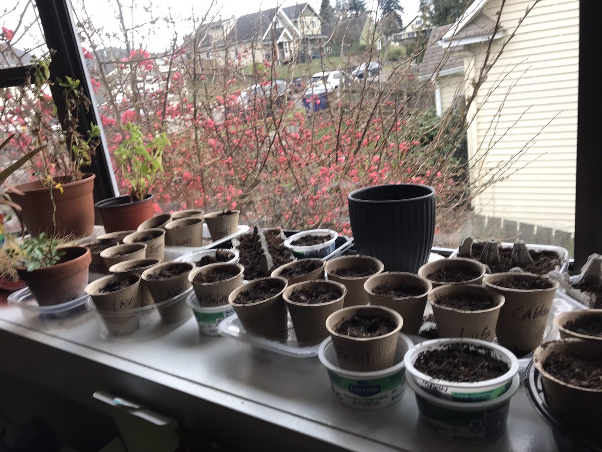 Future harvest..