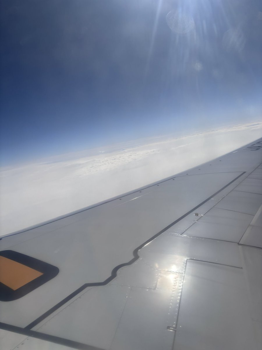 coco_Yuru's tweet photo. ✈️▷▶▷🦙⛄️ https://t.co/IhXGoXbynF