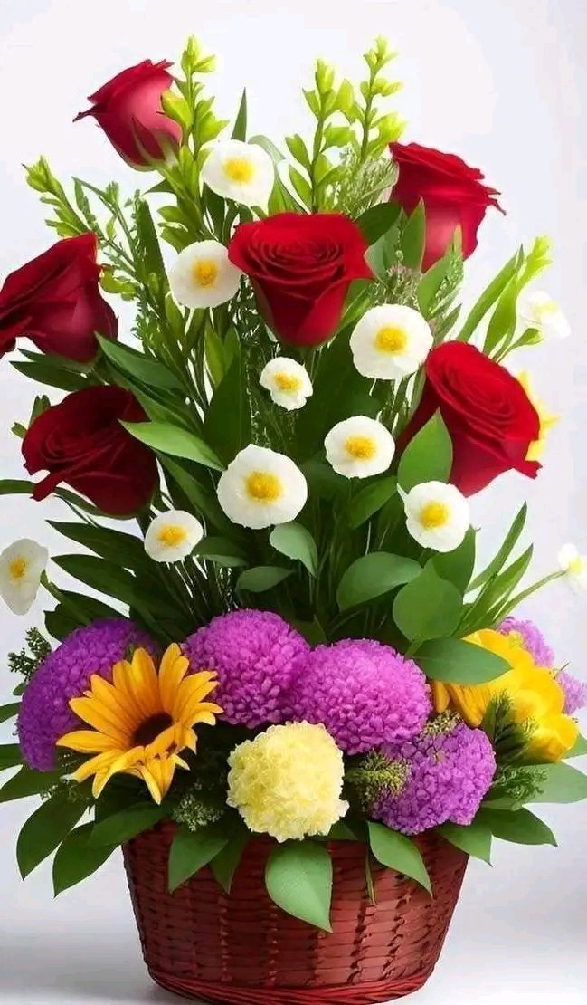 Good morning 🥰❤️🥰❤️