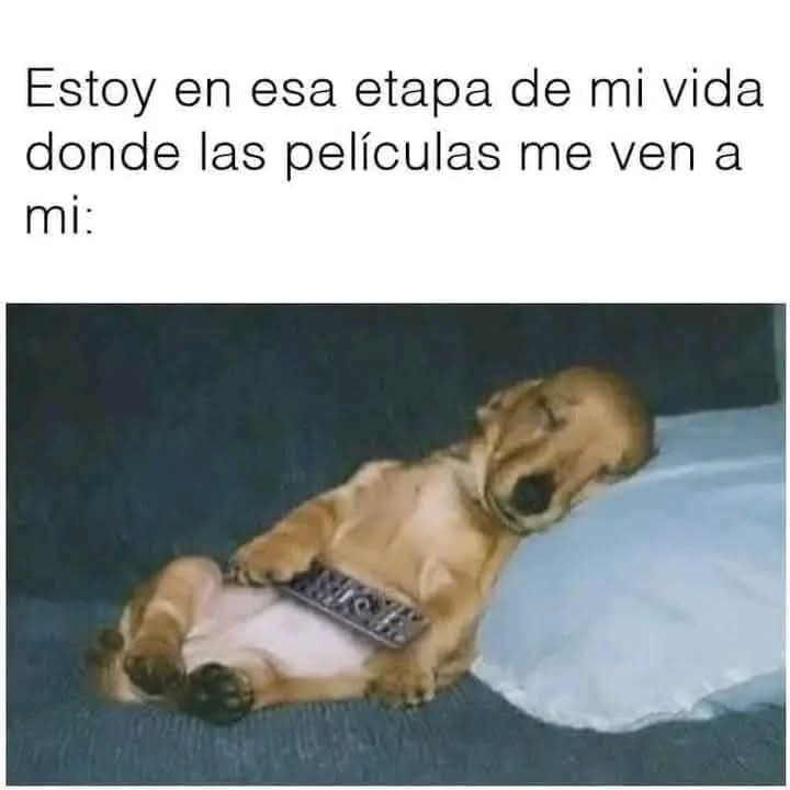 IsaLaDivaTotal's tweet image. Tal cual .. #cansada