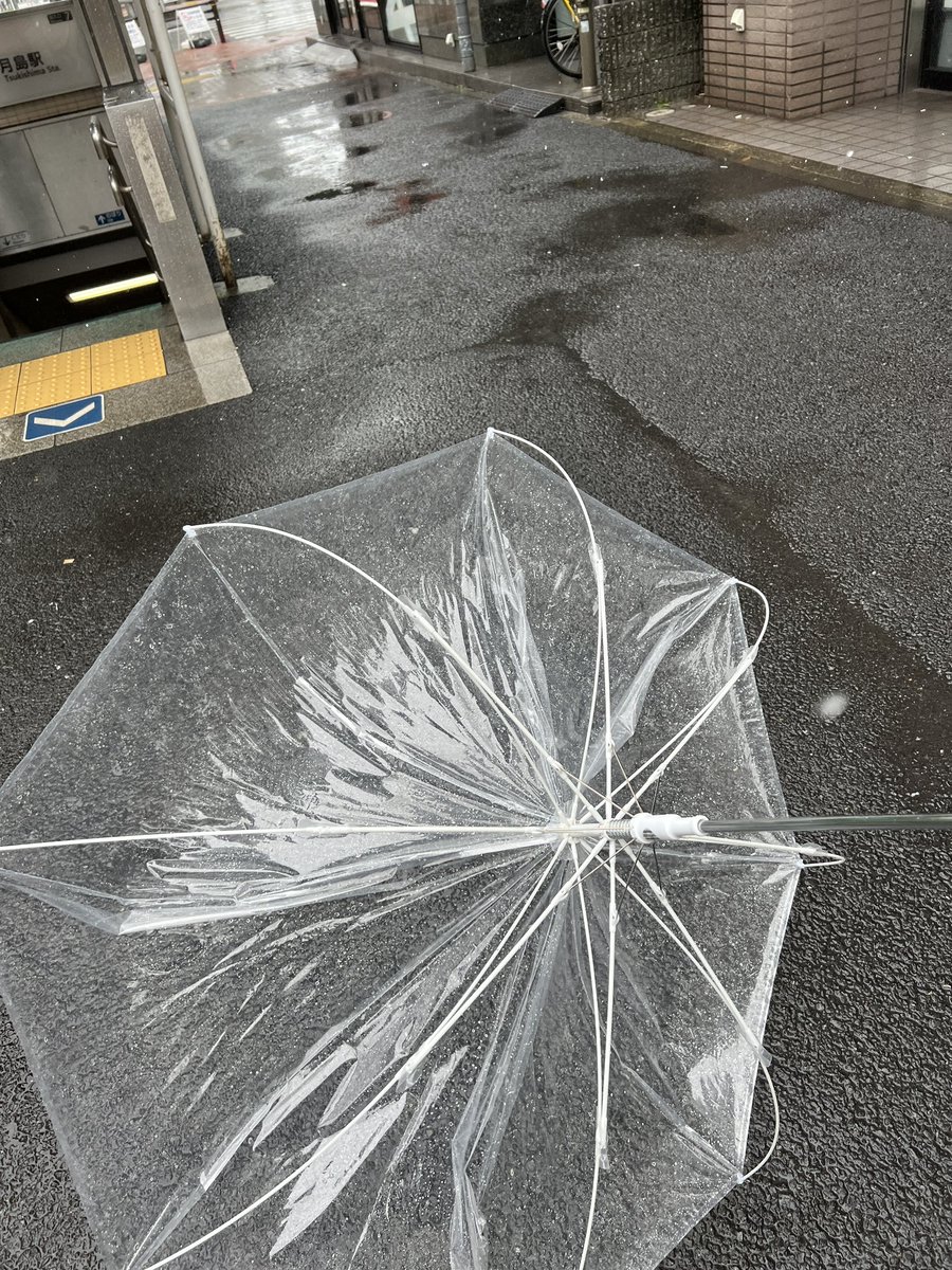 CHUMAHHA's tweet photo. 東京は、風強いし寒いし、雨から雪に変わった。 https://t.co/1BmWiGo32w