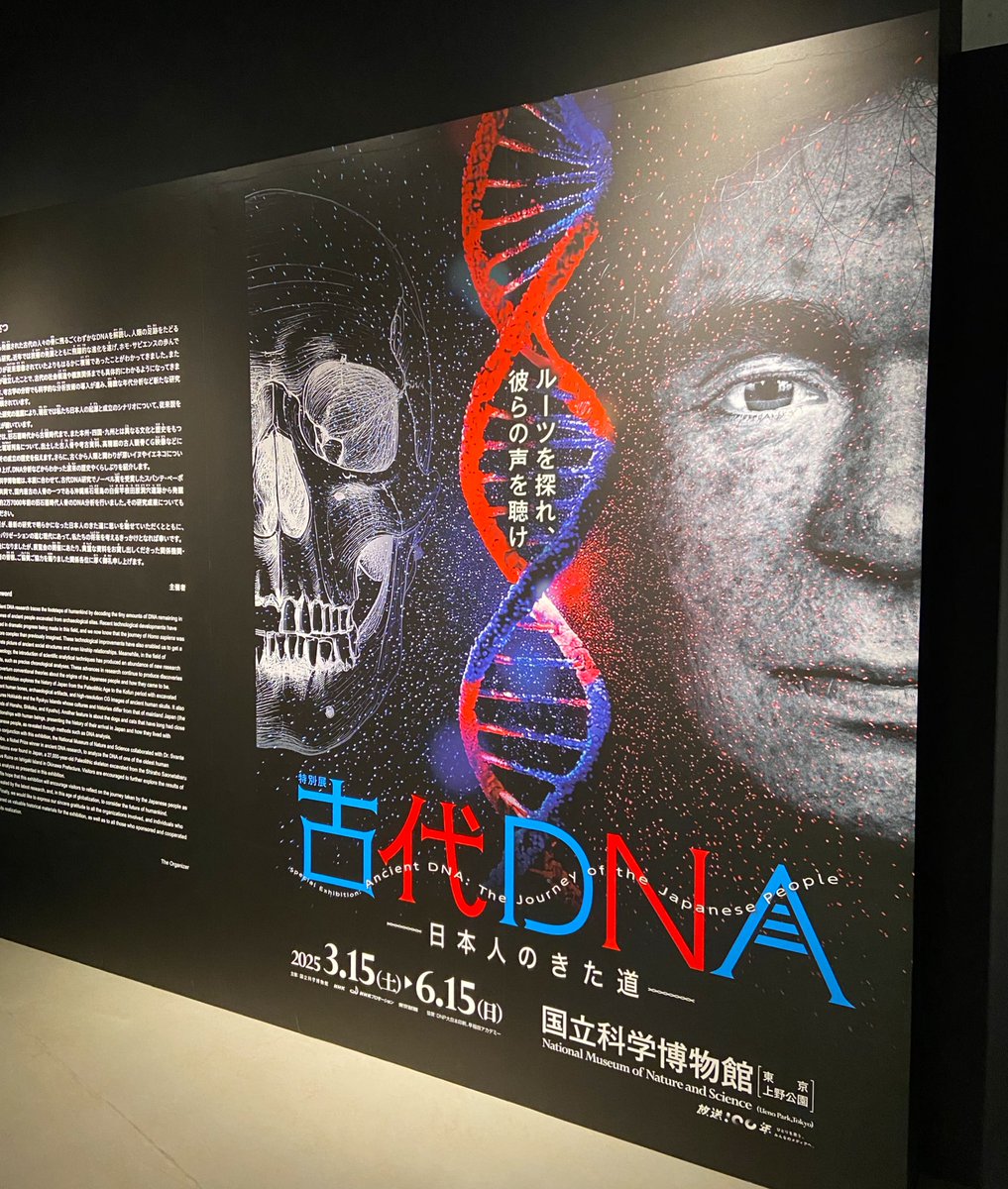 来ました！
🧬#古代DNA展 🧬