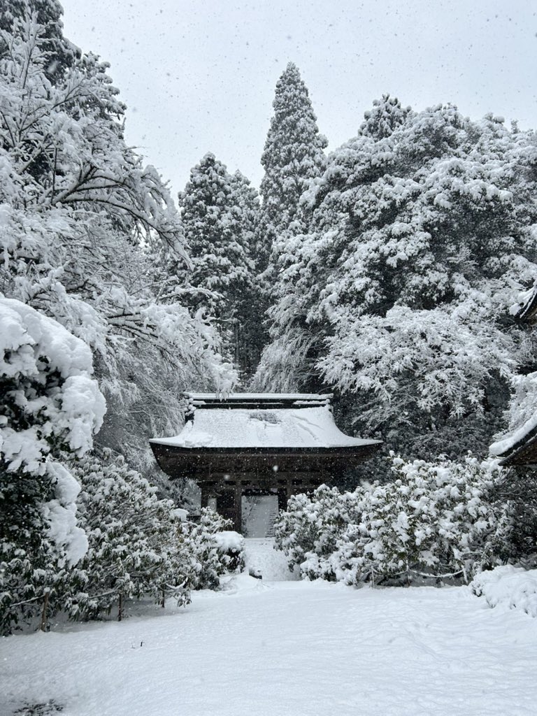 積雪 20cm⛄️

「彼岸過ぎまで七雪」とありますが積もりすぎですね。境内、除雪が追いついてません。
スリップ、樹上や屋根からの落雪に十分注意してご参拝下さい。お足元は冬の装備で。
なお、アクセス道路も積雪ありですので必ず冬用タイヤでご来山下さい。

合掌

#京都 #kyoto #雪景色 #志明院
