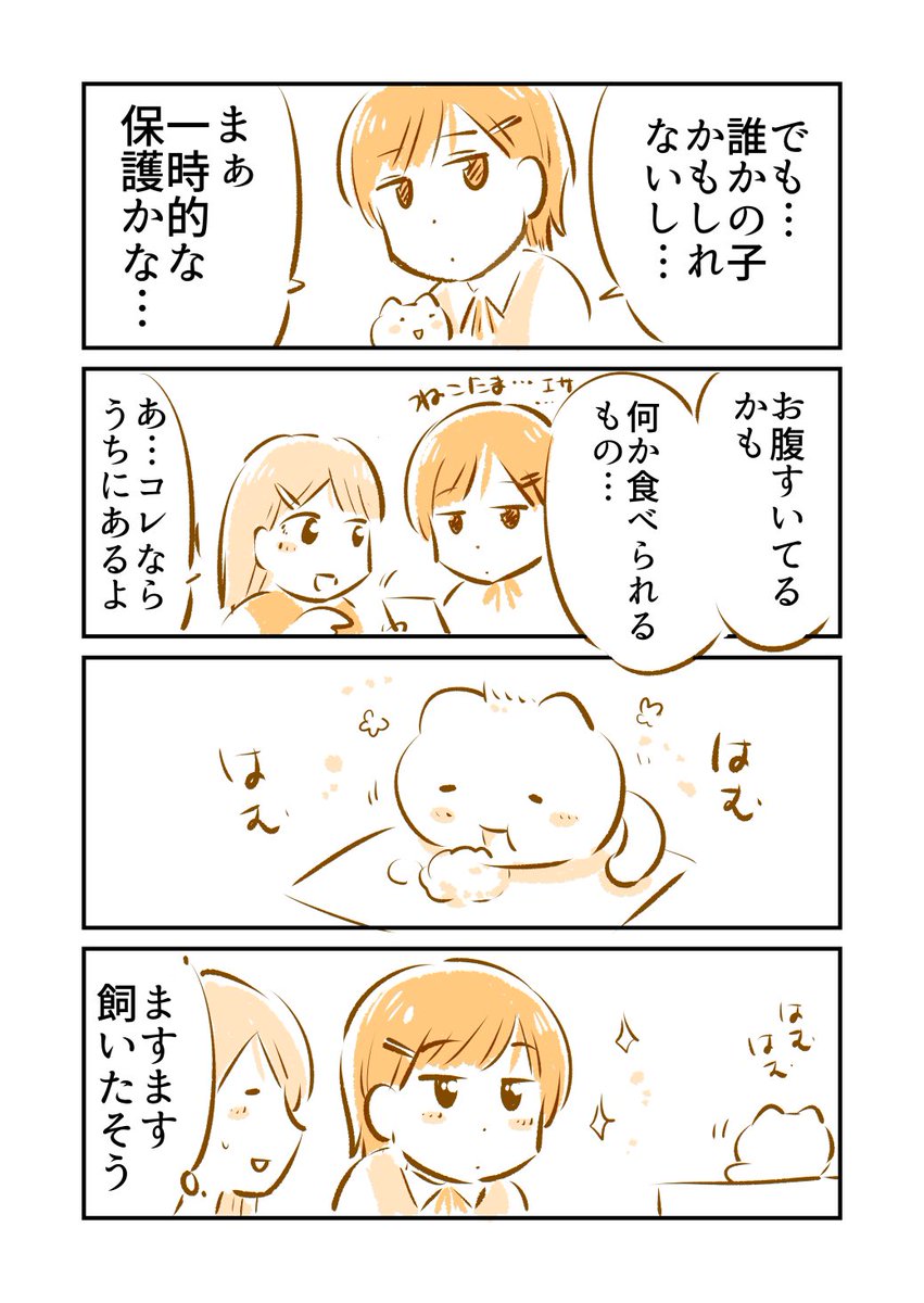 「ねこたまちゃん」を保護したら飼いたくなったお姉ちゃん 