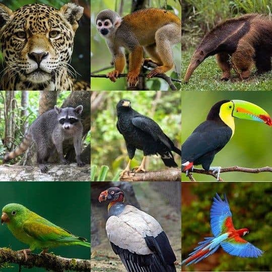 Fundabit Apure tweet media