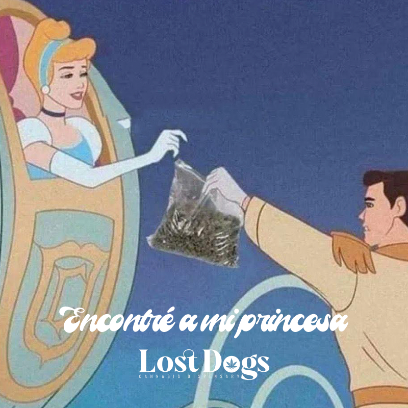 lostdogsoficial's tweet image. Eres la dueña de mis quincenas. #merch #PuertoVallarta #weed 
Whatsapp: 322 104 2746 Envíos a todo México.   
wa.me/3221042746