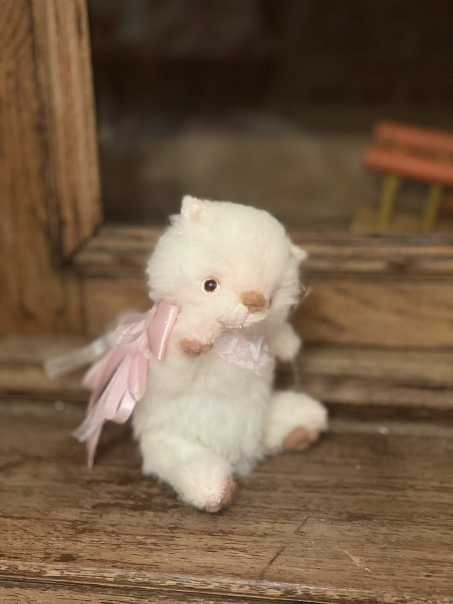 実店舗「🌸桜さくら🌸」イベント作品紹介🔔 ̖́-
𓂃 <a href="/ramubear/">이지원</a> 様の作品です⸜🌟⸝

柔らかい〜モフモフ〜の猫ちゃん！お待ちしております♪
• ───── ✾ ───── •

instagram.com/p/DHXUOp6yppx/…
#テディベア #ハンドメイド #ねこ