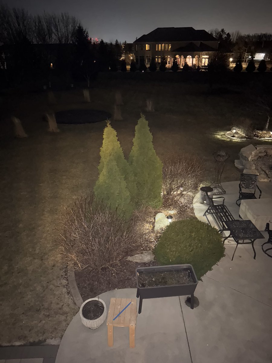 WK512193apes_'s tweet photo. The trees in my backyard are able to grow and flourish because of the rich nutrients the soils gives them to grow. #apesland @franklinlorax I lost my Lorax card but I did take the picture. https://t.co/7xy87FStBK