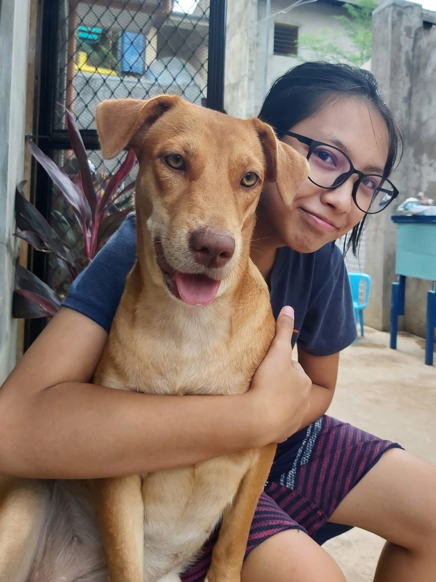 chairmau tweet media