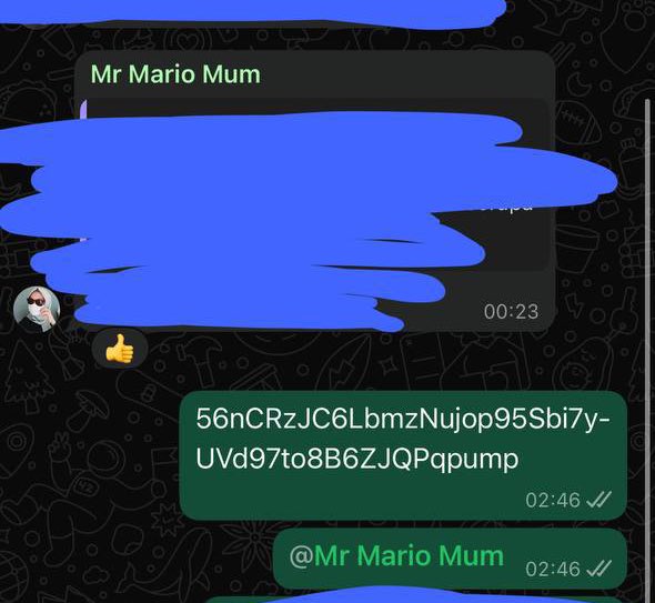 mrmariocat's tweet photo. Just sent CA to owner. She is going to put in her TikTok bio. THIS IS GONNA BE HUGEEEE LFG! ❤️🐱 $TABI https://t.co/OjpneZ2tJc