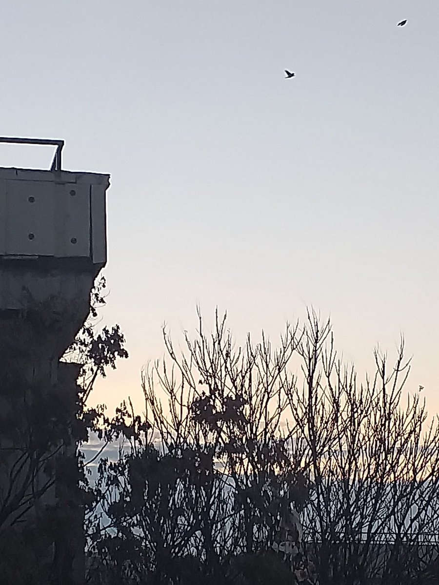 eriesence's tweet image. 