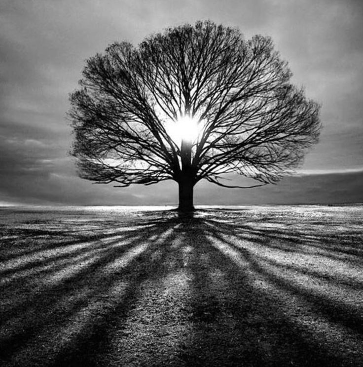 Pierre Botte (@pierrebotte1) on Twitter photo 