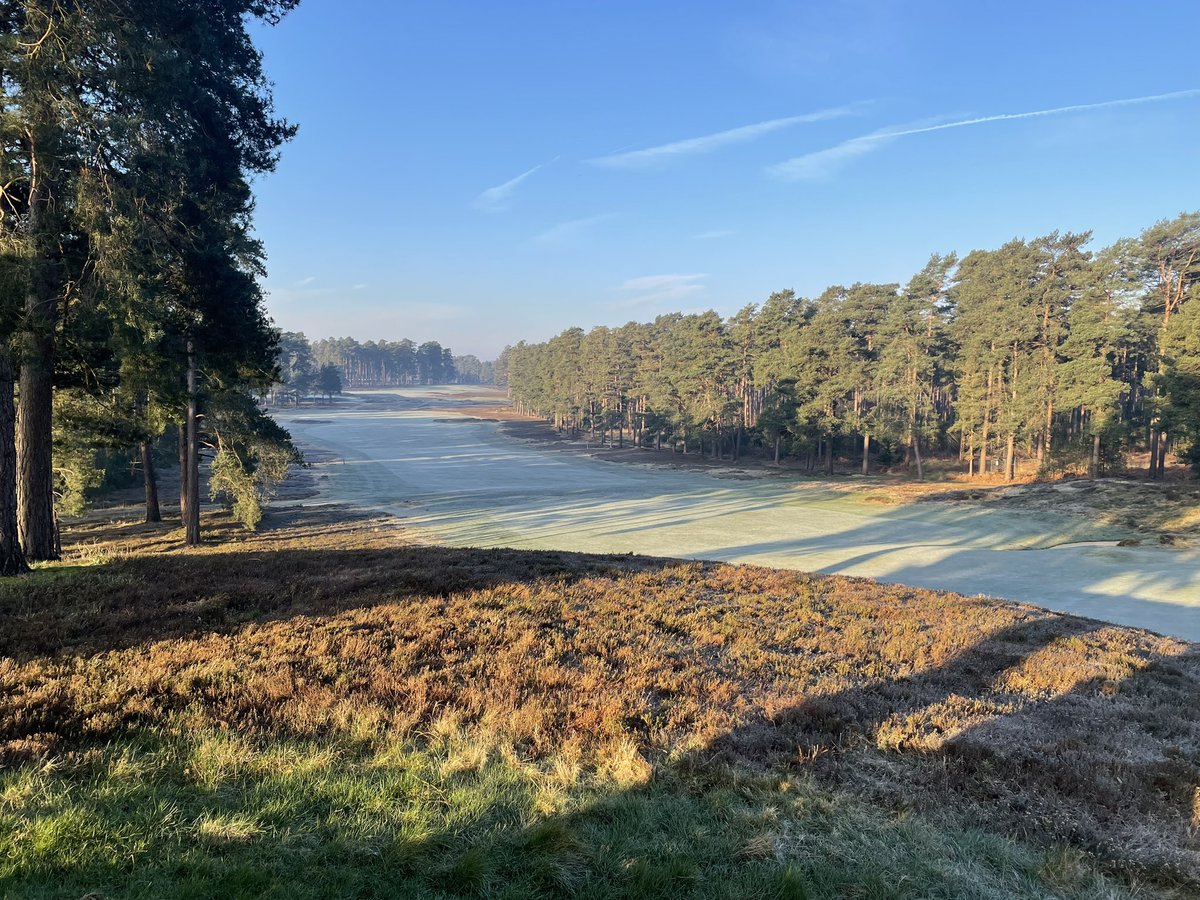 Tony Stephen tweet media